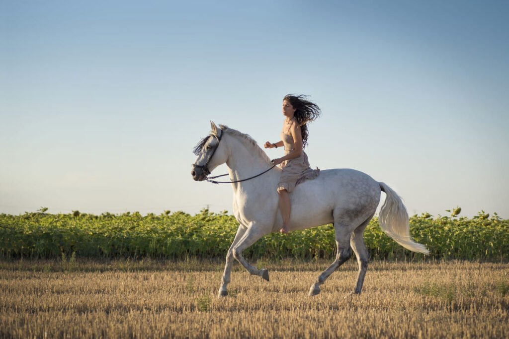 attractive-young-caucasian-female-with-a-beautiful-2025-02-02-21-15-21-utc