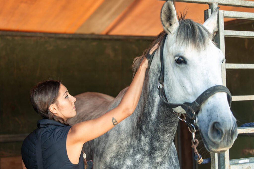 closeup-young-equestrian-woman-grooming-her-horse-2025-09-06-17-33-56-utc