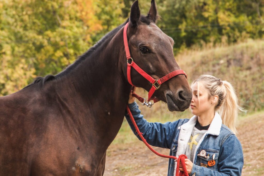 young-beautiful-girl-training-a-horse-on-the-backg-2024-09-15-15-24-25-utc