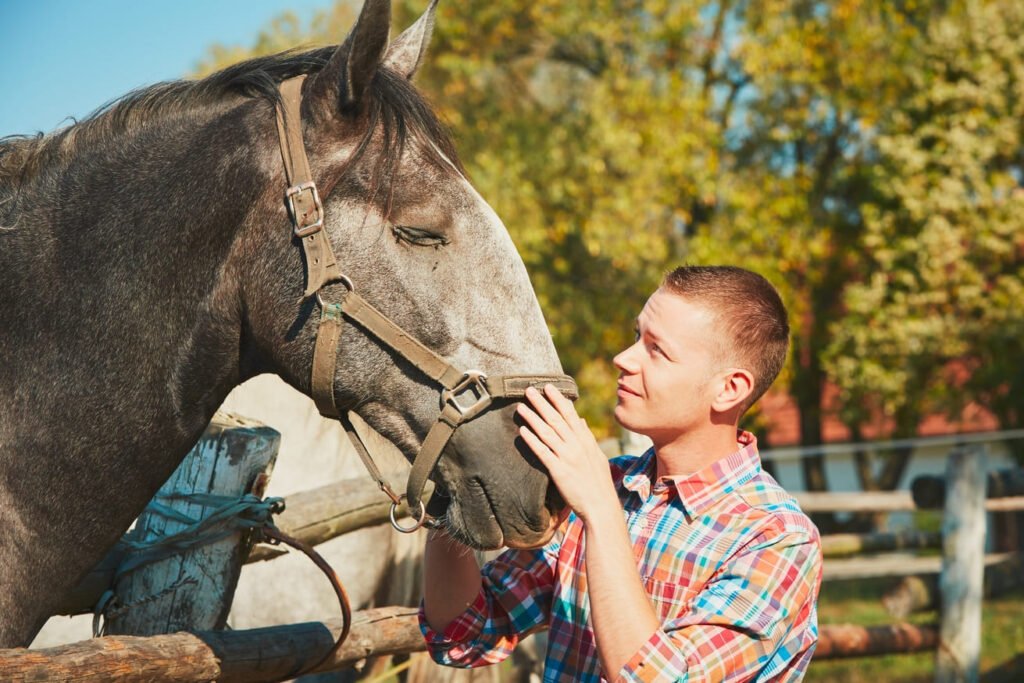 young-man-stroking-horse-at-the-farm-in-summer-day-2025-02-16-09-29-16-utc